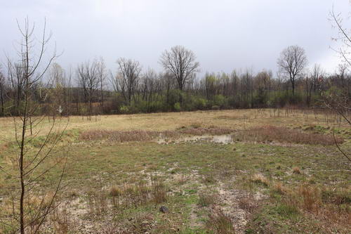 Chief Pontiac Speedway (Lake Angelus Speedway) - The Lot In April 2021 (newer photo)